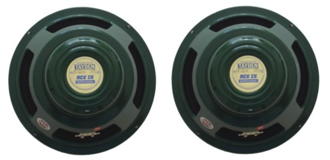 Tayden ACE 25 12" Alnico Guitar Speaker 8ohm